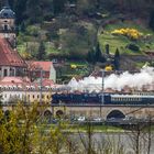 Königsteiner Frühling