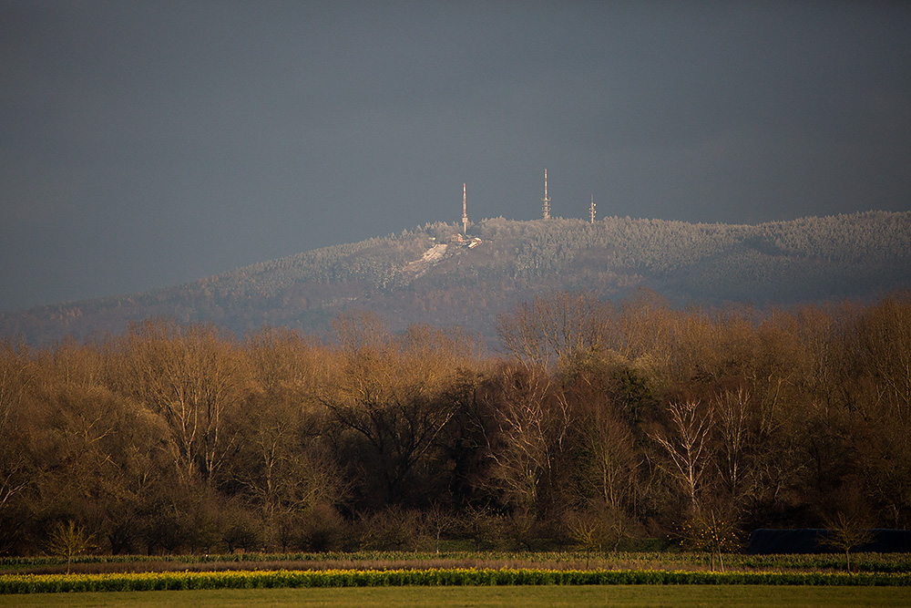 Königstuhl