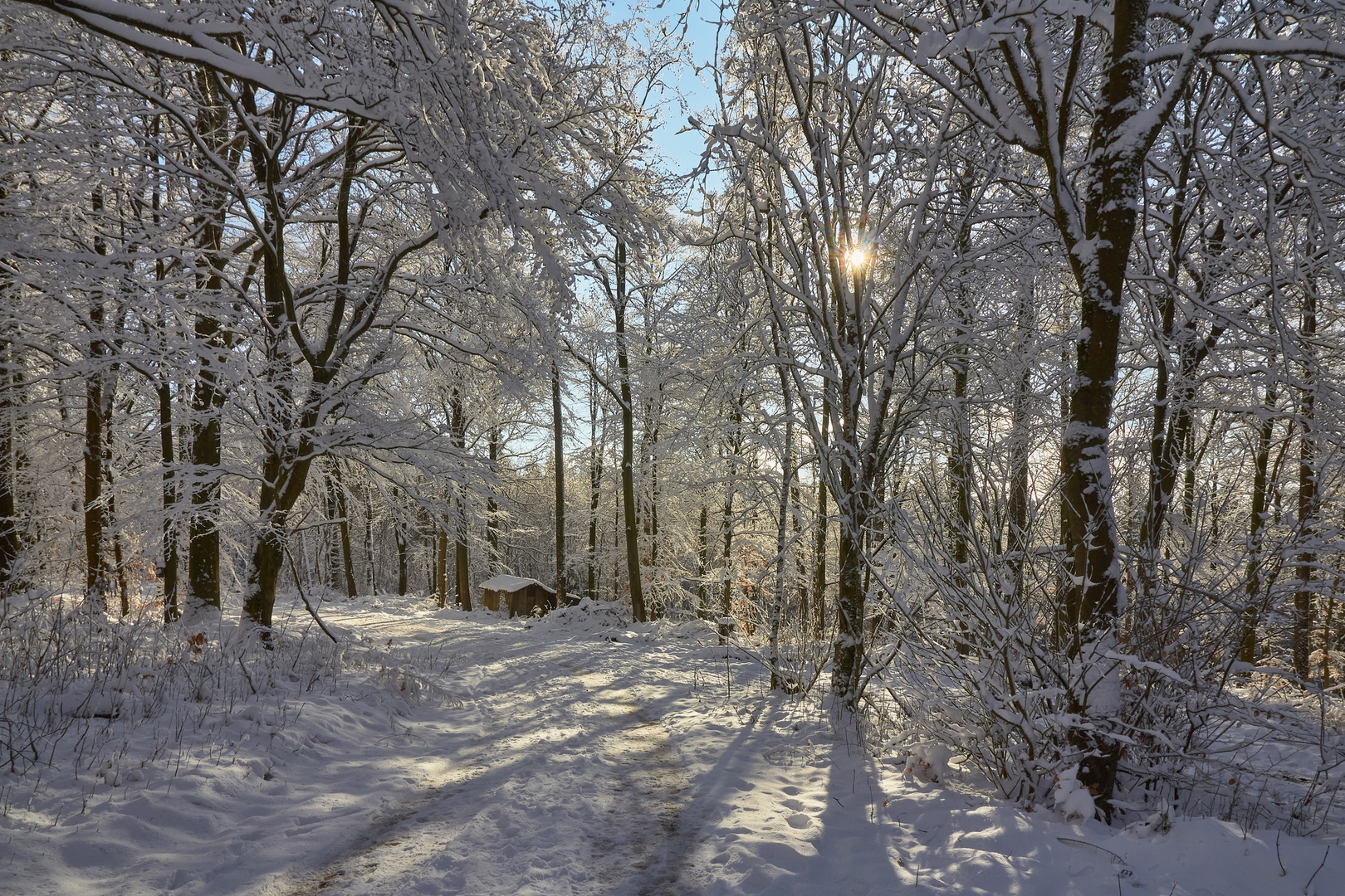 Königstuhlwinteridylle 2