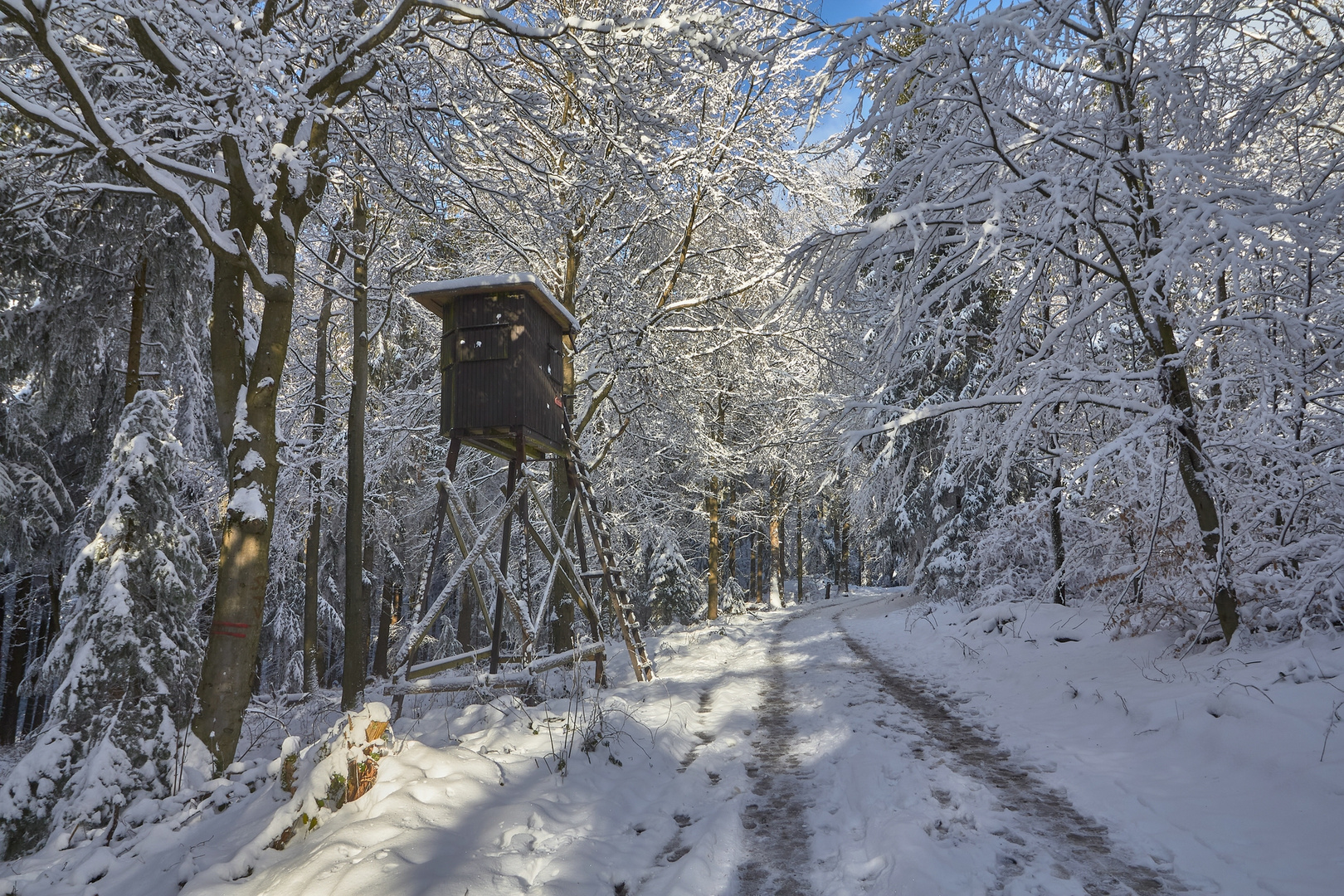 Königstuhlwinteridylle 3