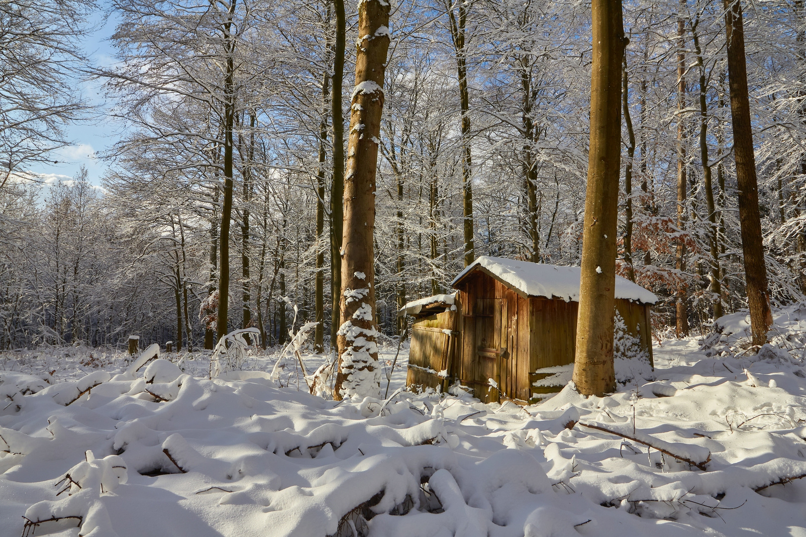 Königstuhlwinteridylle