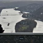 Königswinter Drachenfels Rhein