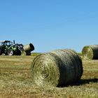 Königswinter Siebengebirge Feldarbeit