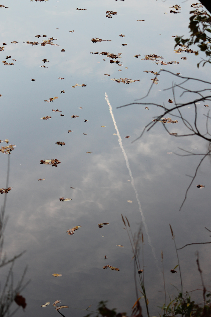 Können Flugzeuge im Wasser fliegen? (Spiegelung!)