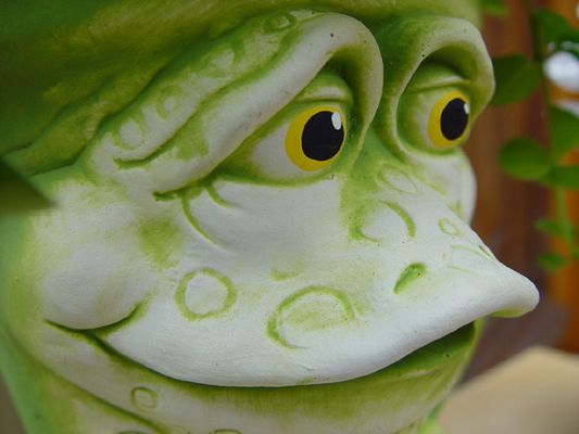 Können Frösche lügen?