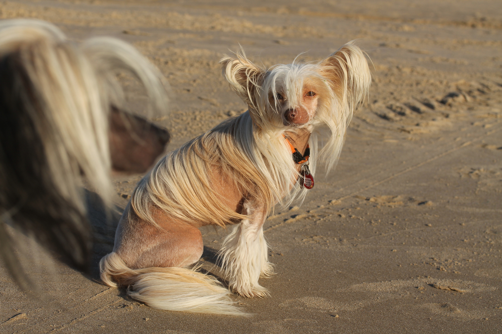 Konnen Wir Endlich Nachhause Gehen Foto Bild