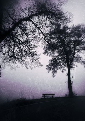 Könnt ich nur einmal noch... 