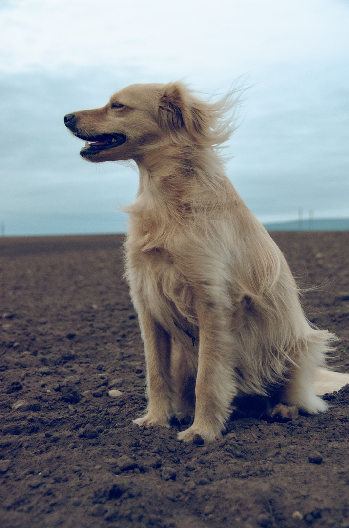 Könnte am Meer sein...