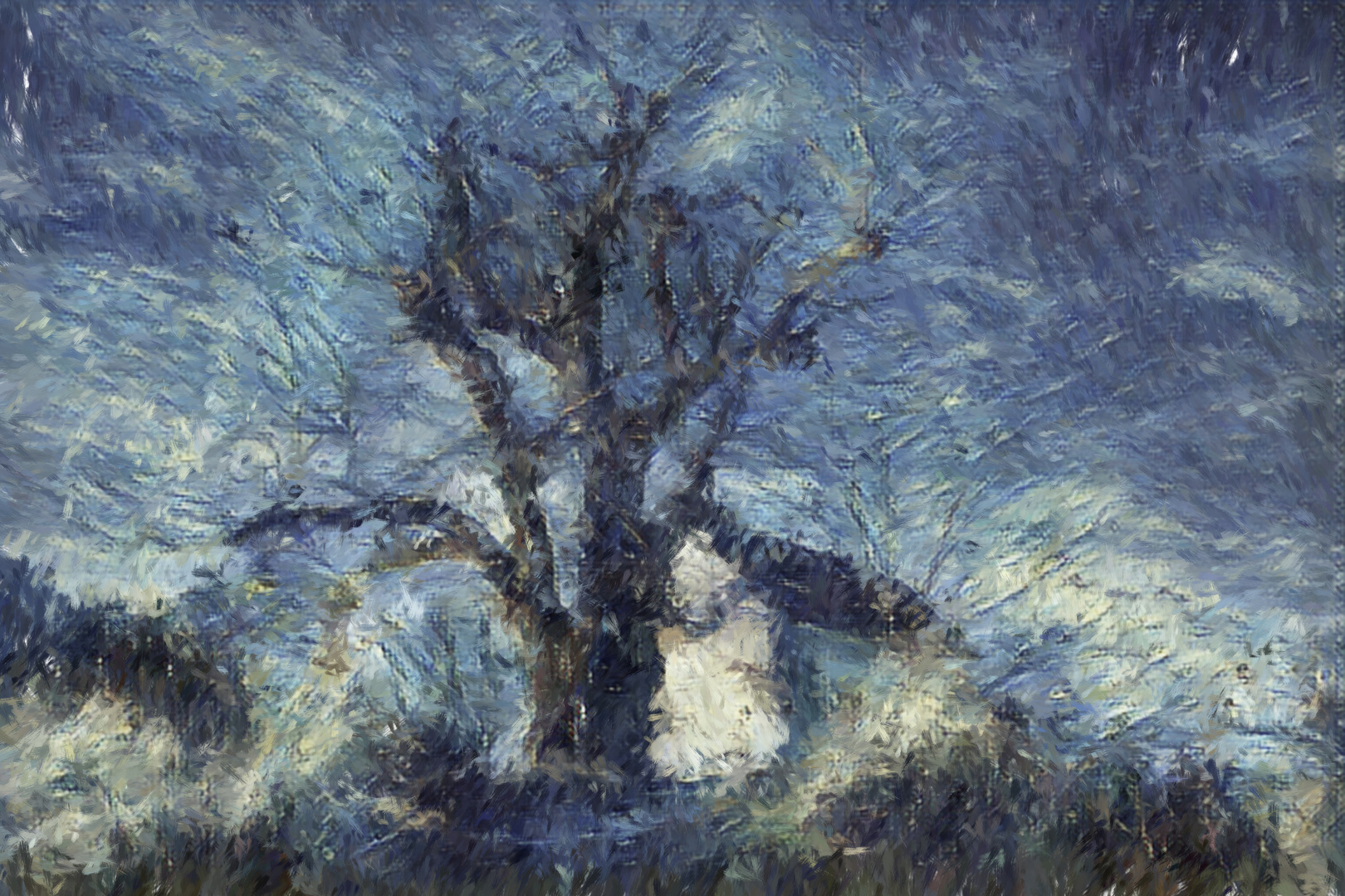 Könnte ich malen wie van Gogh, Foto & Bild | outdoor, bäume, sonne