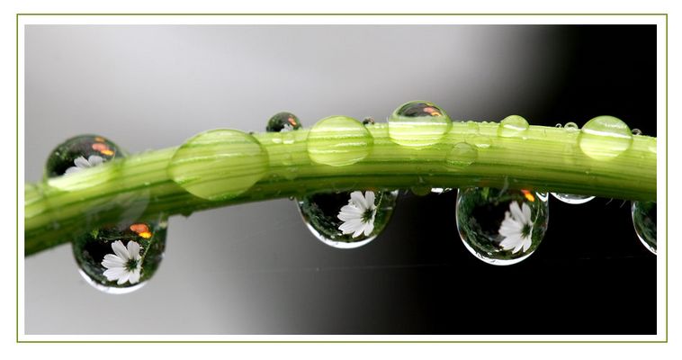 könnte nicht schlafen