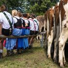 Könnte unter Umständen dumm hinauslaufen.