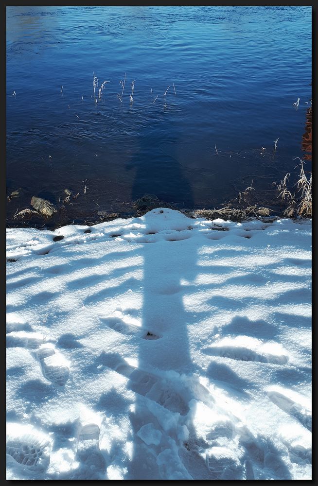 ...Köpfchen in der Elbe...