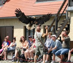 Köpfe einziehen, seine Majestät kommt angeflogen