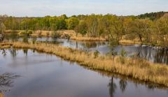 Köppchensee in der Brutzeit