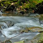 Köpperner Tal Am Bach