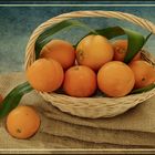 Körbchen  mit Orangen