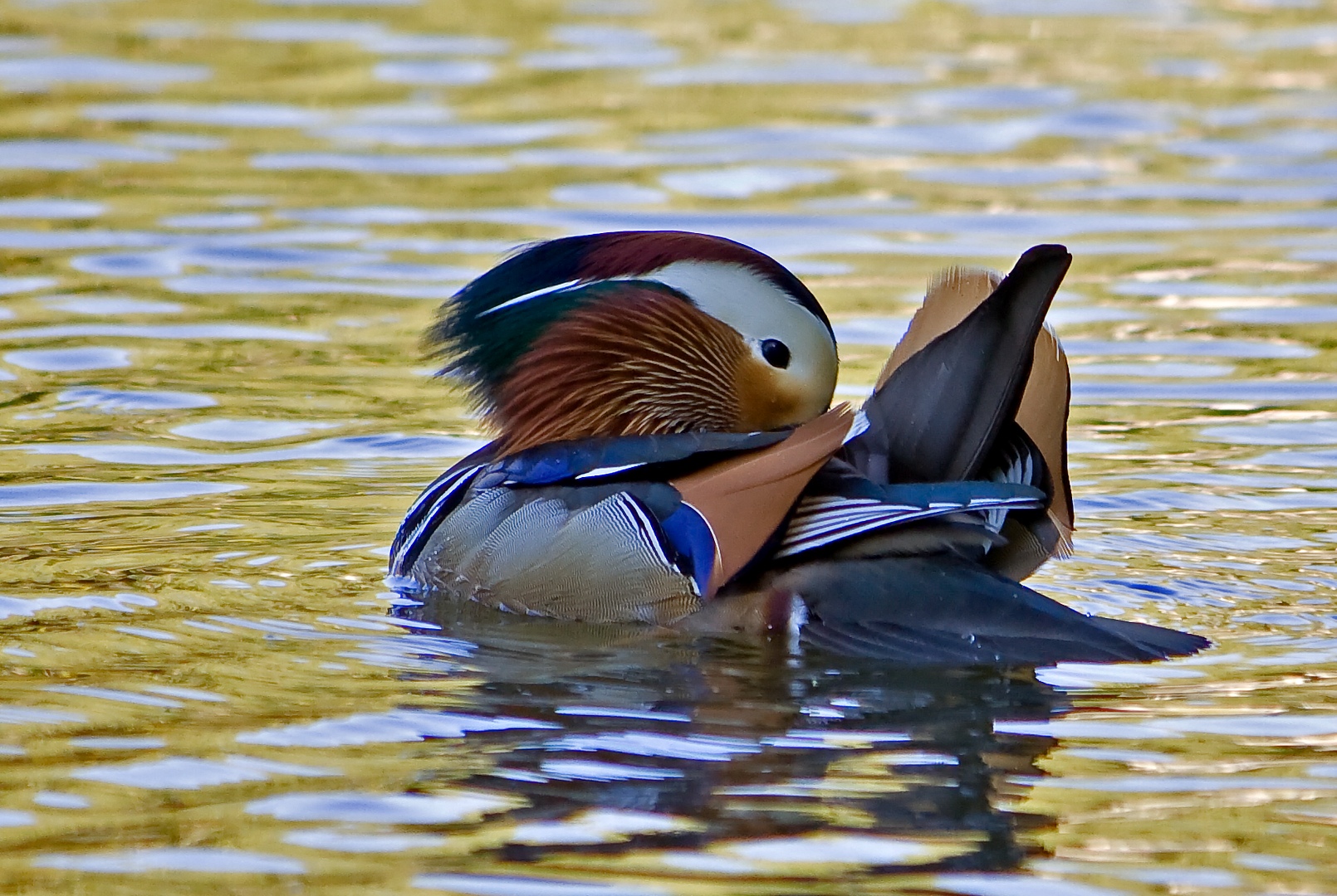 Körperpflege auf dem Wasser