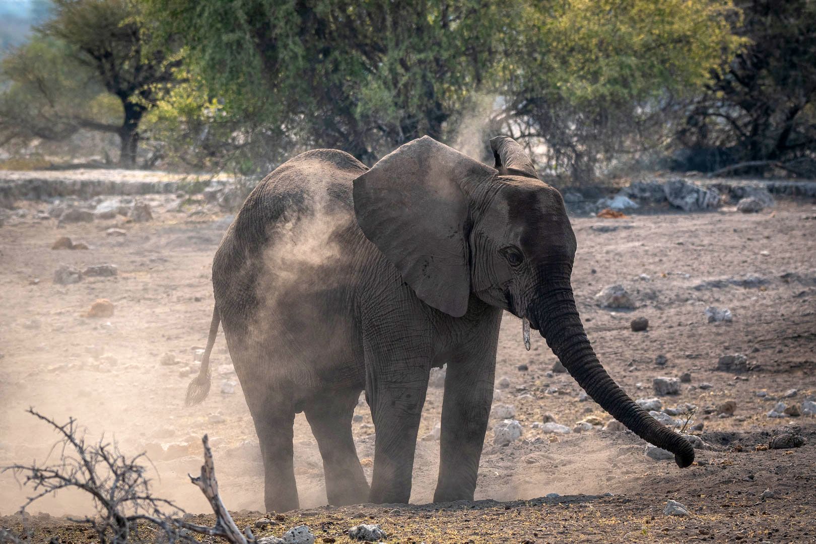 Körperpflege Etosha-Style