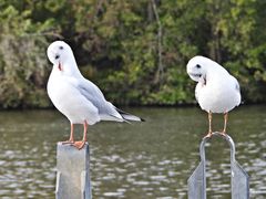 Körperpflege ist wichtig...