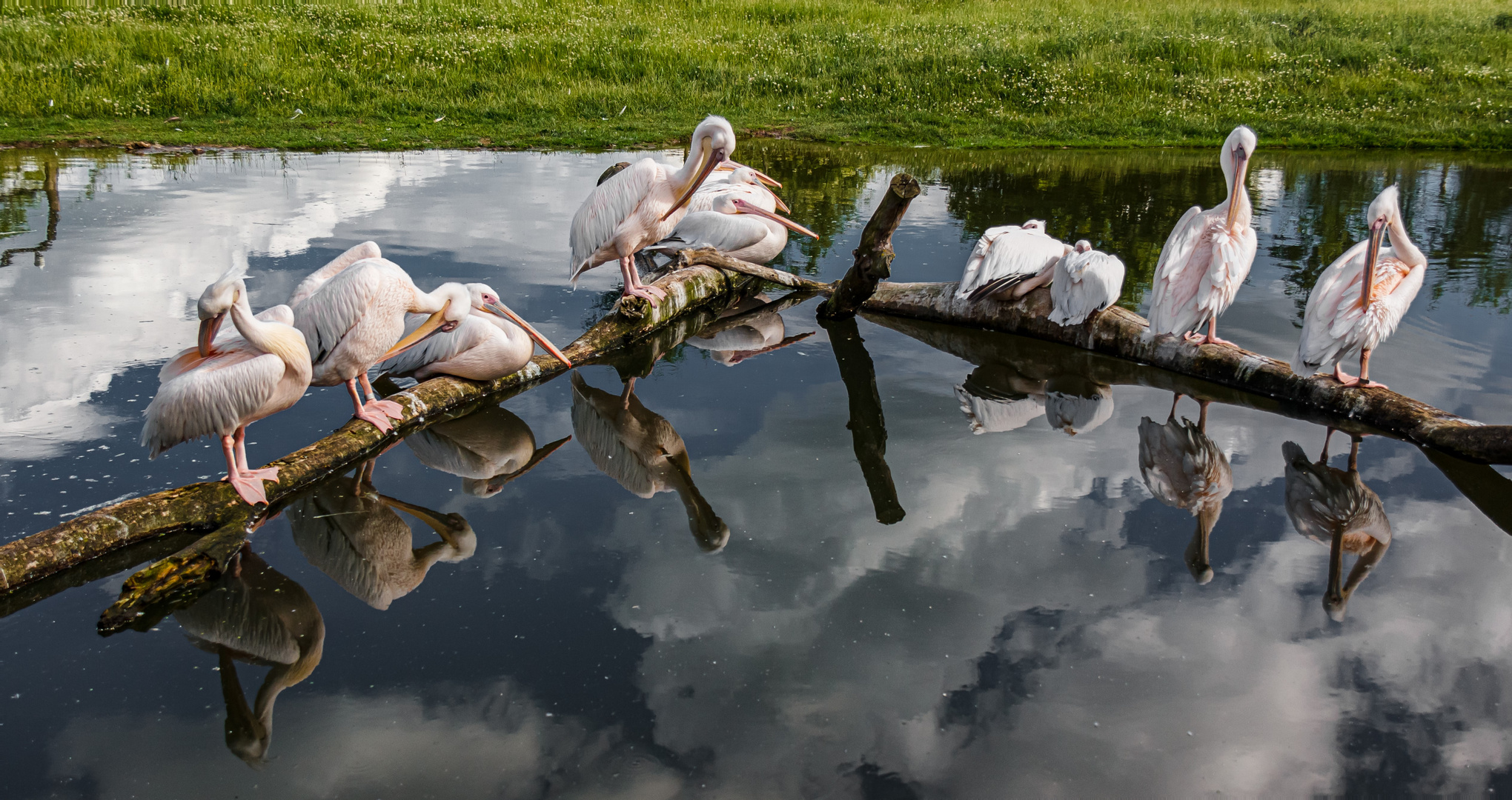 Körperpflege mit Spiegelung  -Thementag. Spiegelung