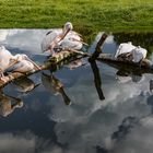 Körperpflege mit Spiegelung  -Thementag. Spiegelung