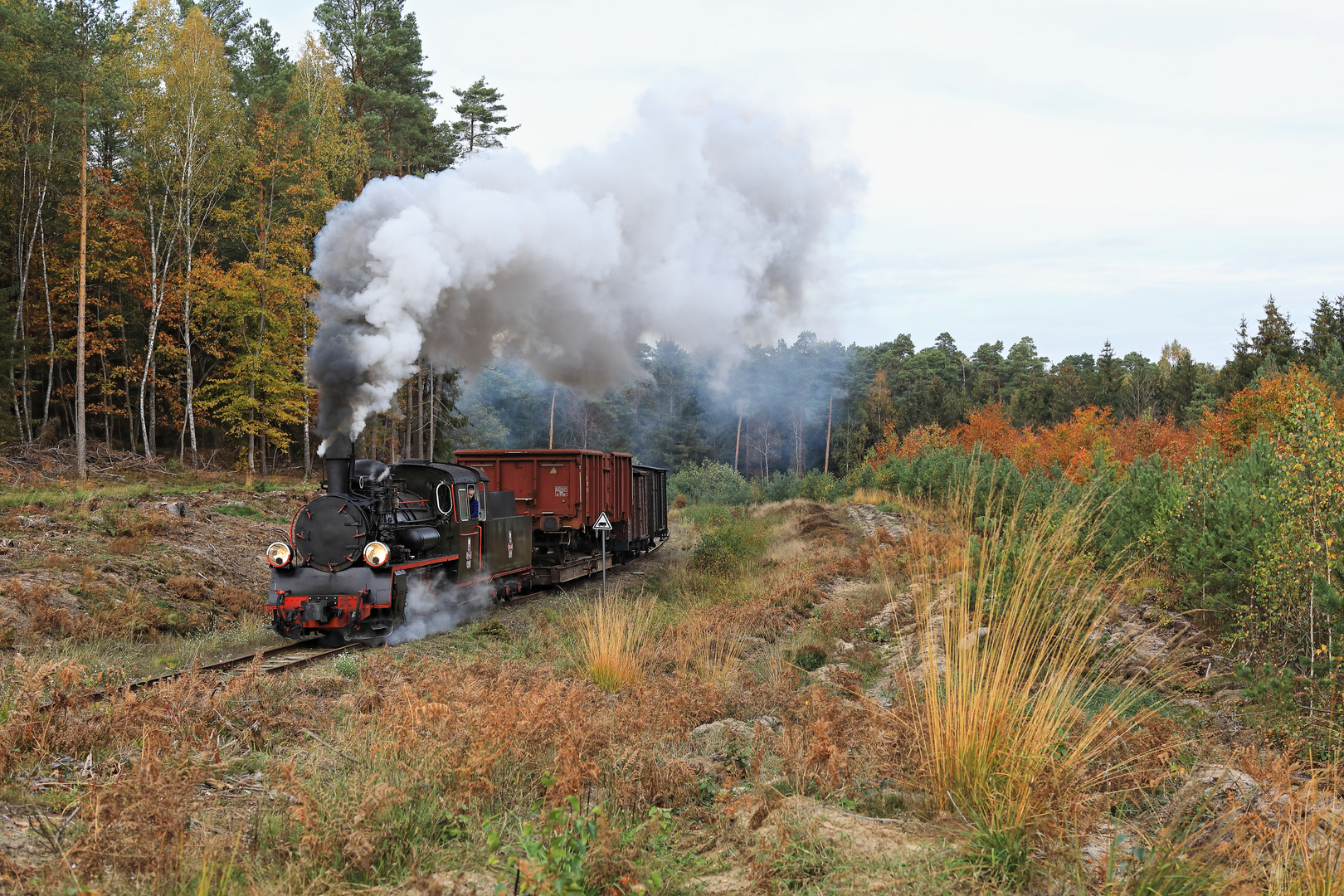 Kösliner Kleinbahn 04