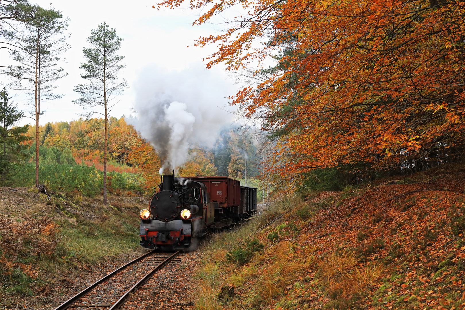 Kösliner Kleinbahn 08