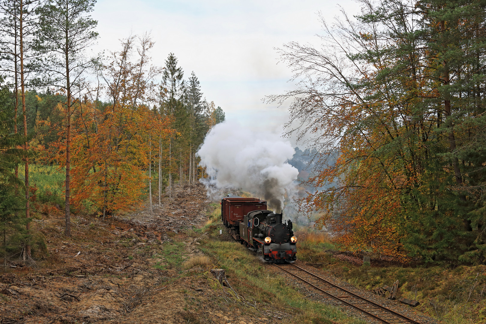 Kösliner Kleinbahn 11