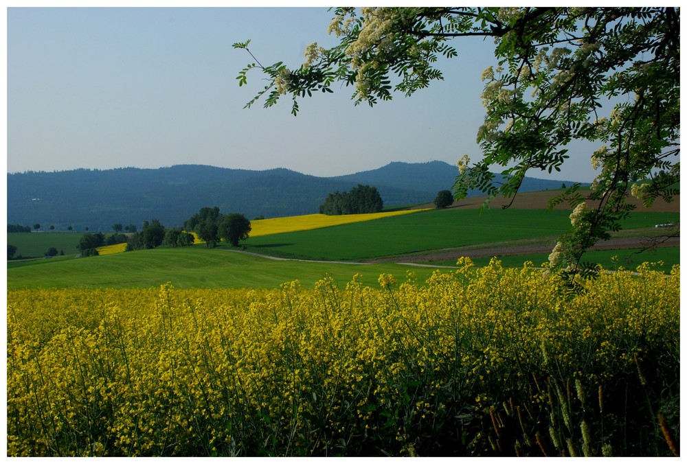 Kösseineblick