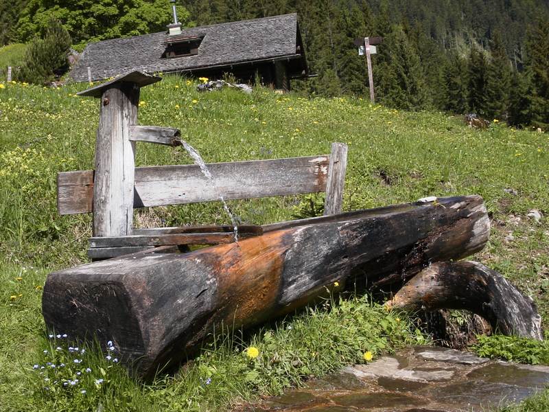 köstliche Erfrischung