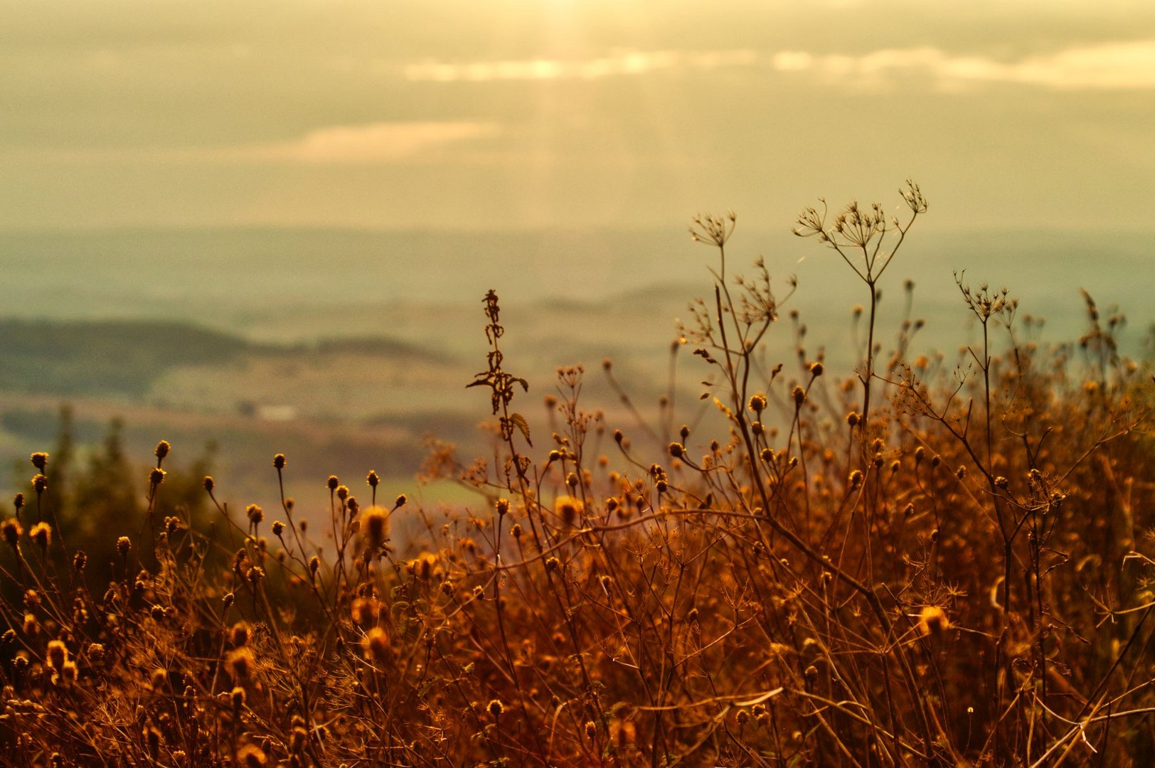 Köterberg Sunset