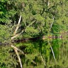 Köttingersee.