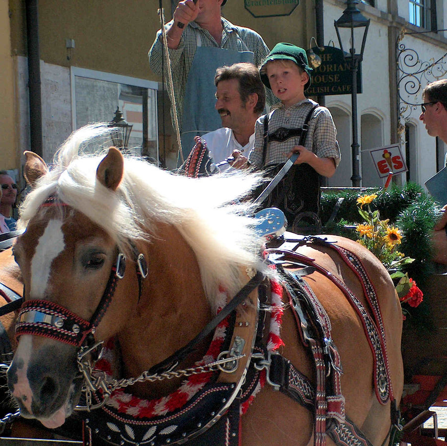 Kötztinger Rosstag 2008 - Der wohl jüngste Fuhrmann am Umzug