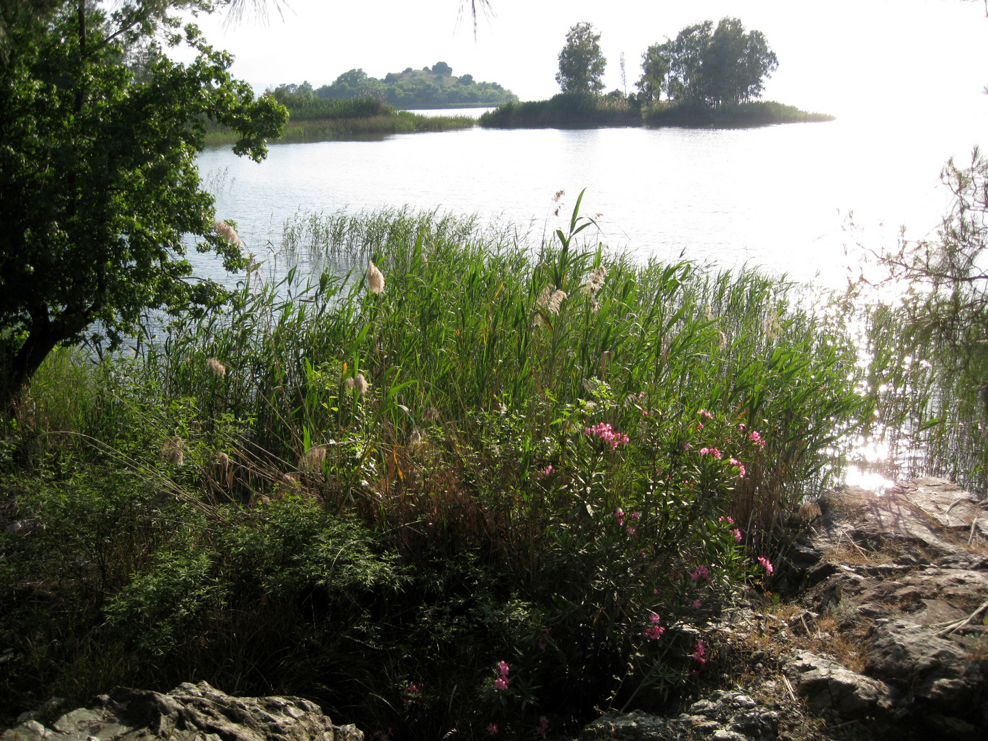 Köycegiz See, Süd- West Türkei