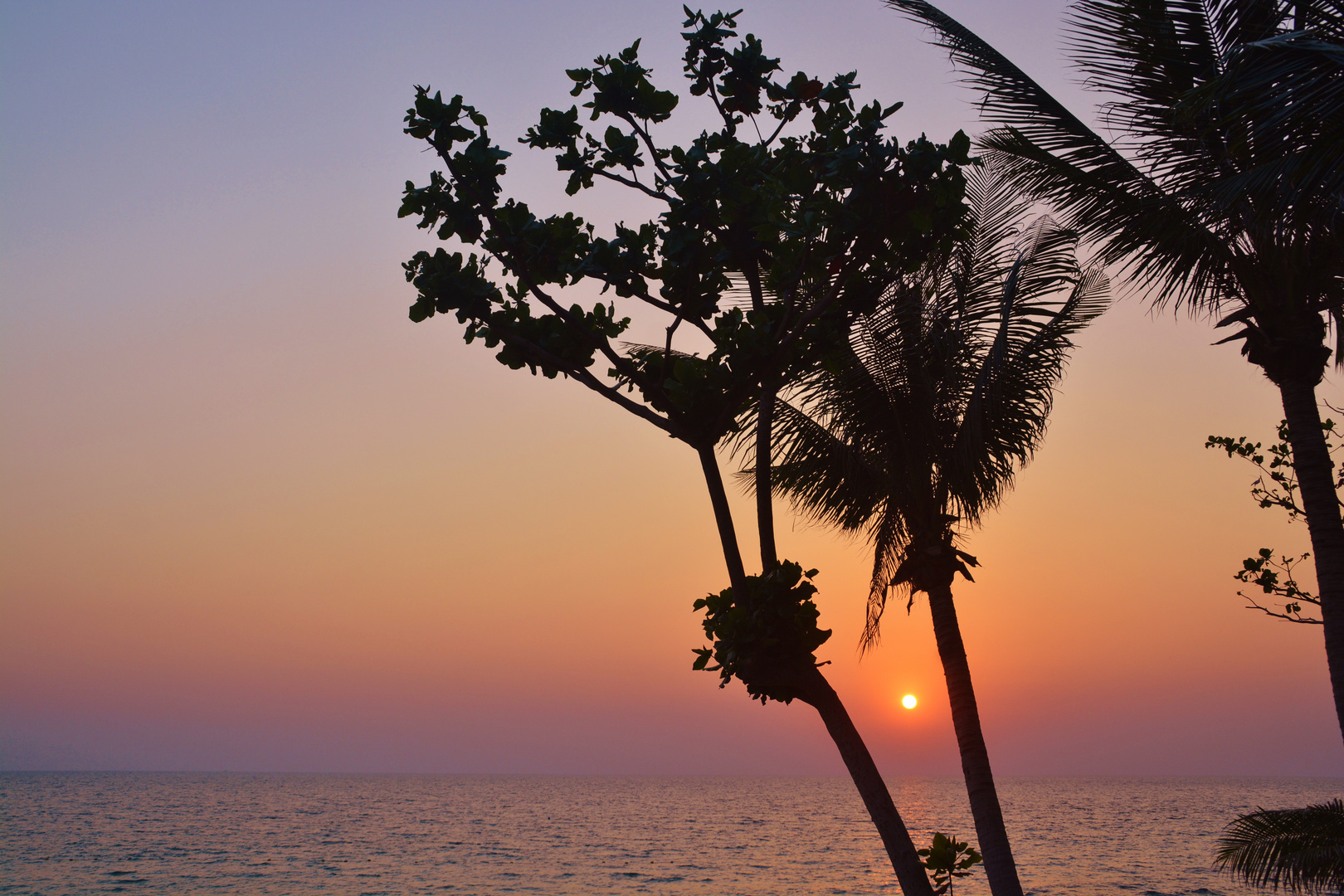 Koh Chang, Samet  Jan , Feb 2017 159