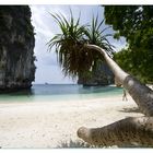 Koh Hong 2