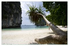 Koh Hong 2