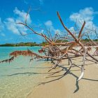 Koh Mudsum