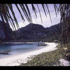 Koh Phi Phi 1