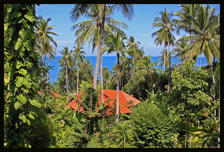 Koh Samui