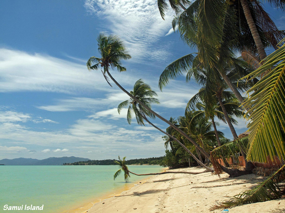 Koh Samui