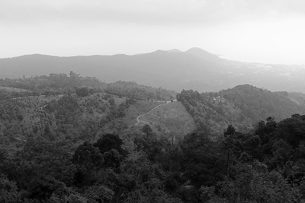 Koh Samui | in den Bergen