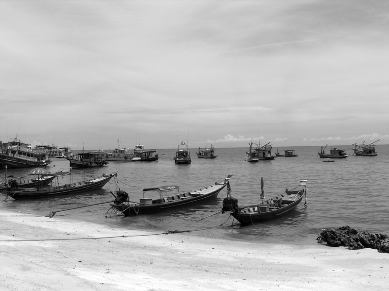 [ koh tao ]