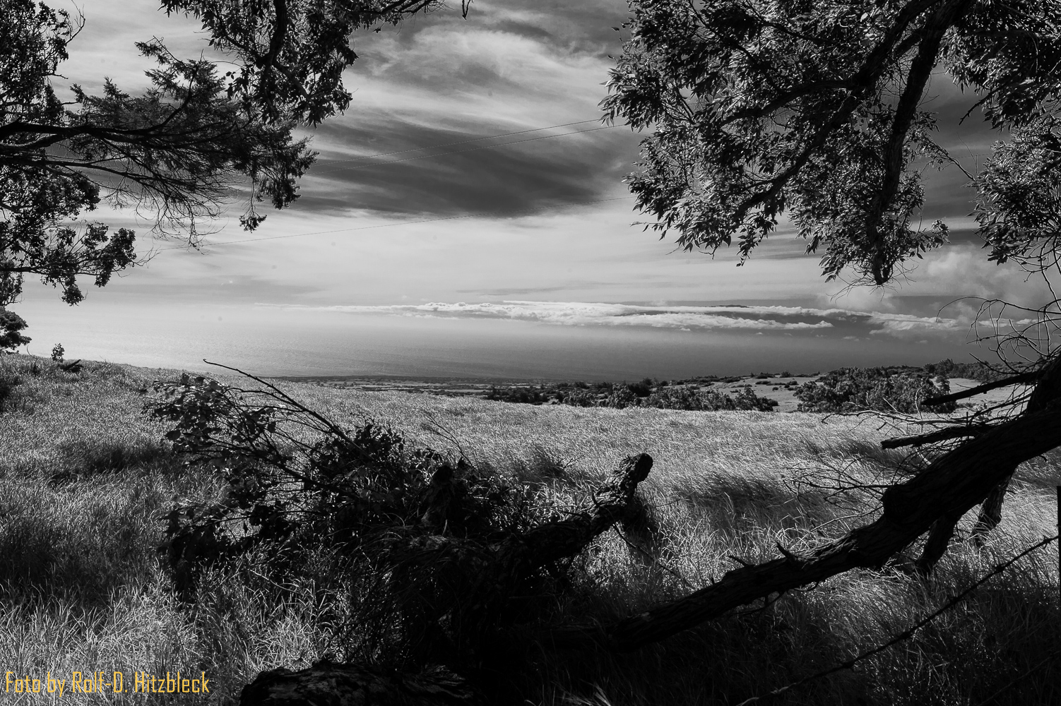 Kohala Mountains