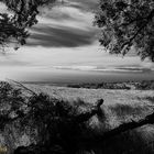 Kohala Mountains