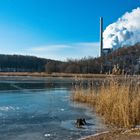 Kohlbachweiher auf der Halde Göttelborn