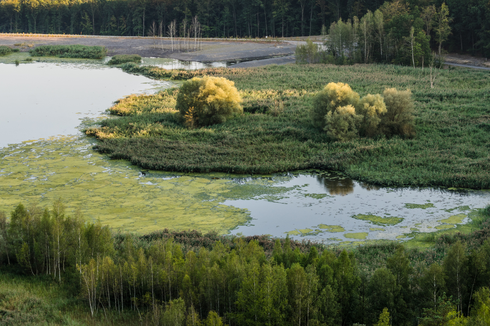 Kohlbachweiher auf der Halde Göttelborn