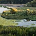 Kohlbachweiher auf der Halde Göttelborn