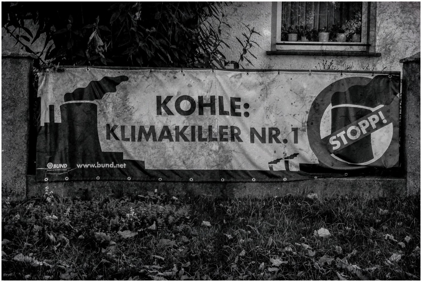 Kohle...