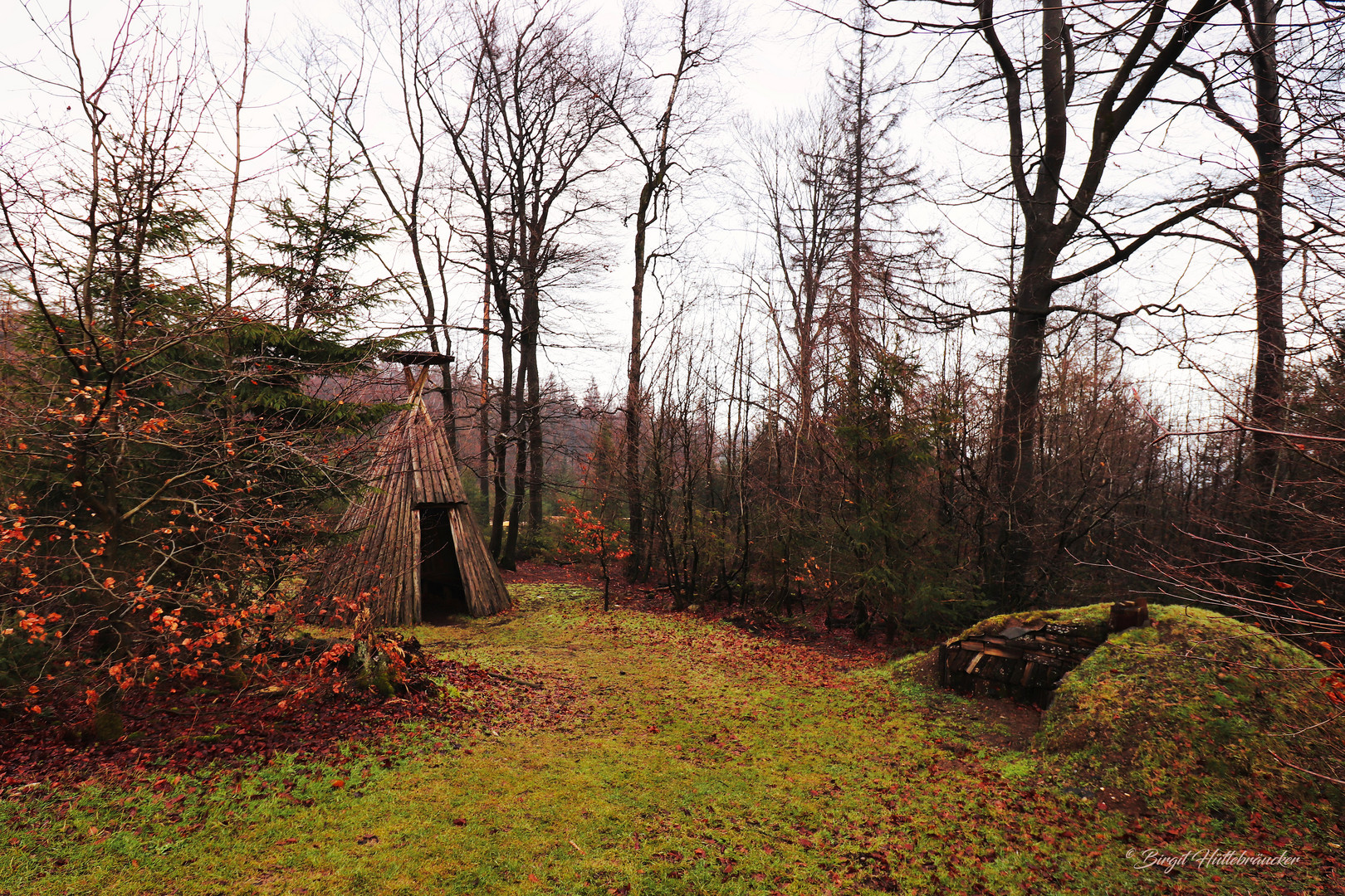 Kohlenmeiler und Köhlerhütte